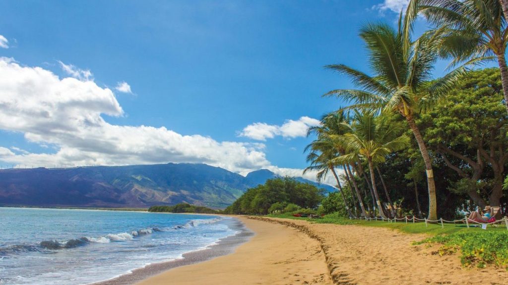 hawaii beach 1630540 1920 e1655295545782