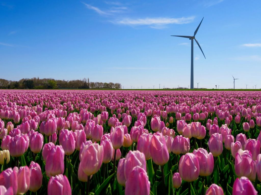 stephan van de schootbrugge K2S ZXAAsMs unsplash