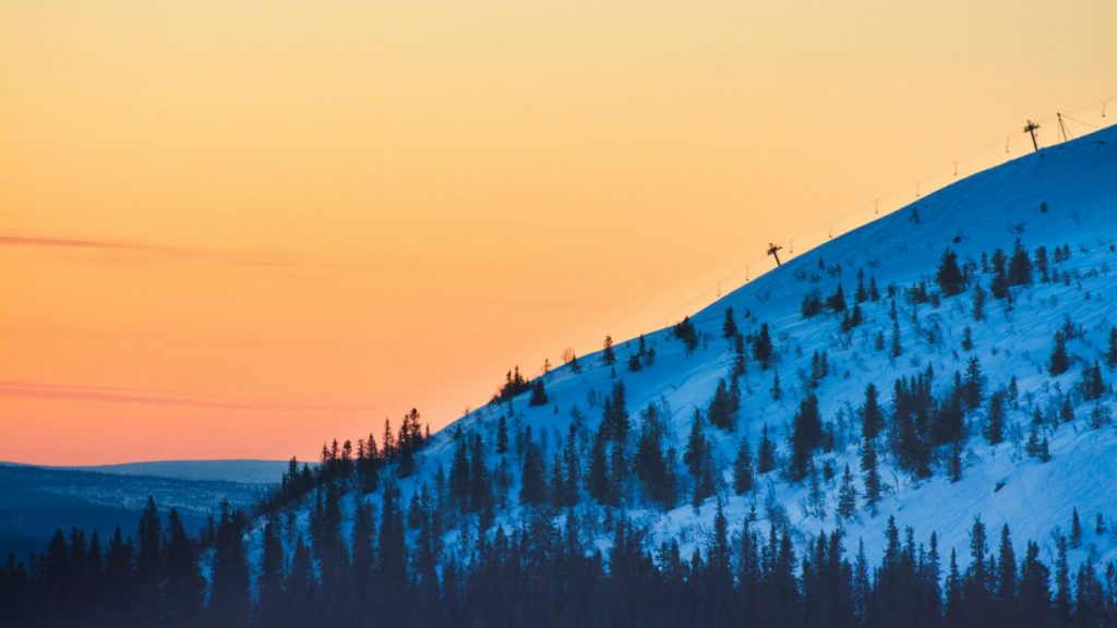 carlo knell Hi5MjeHCwqY unsplash